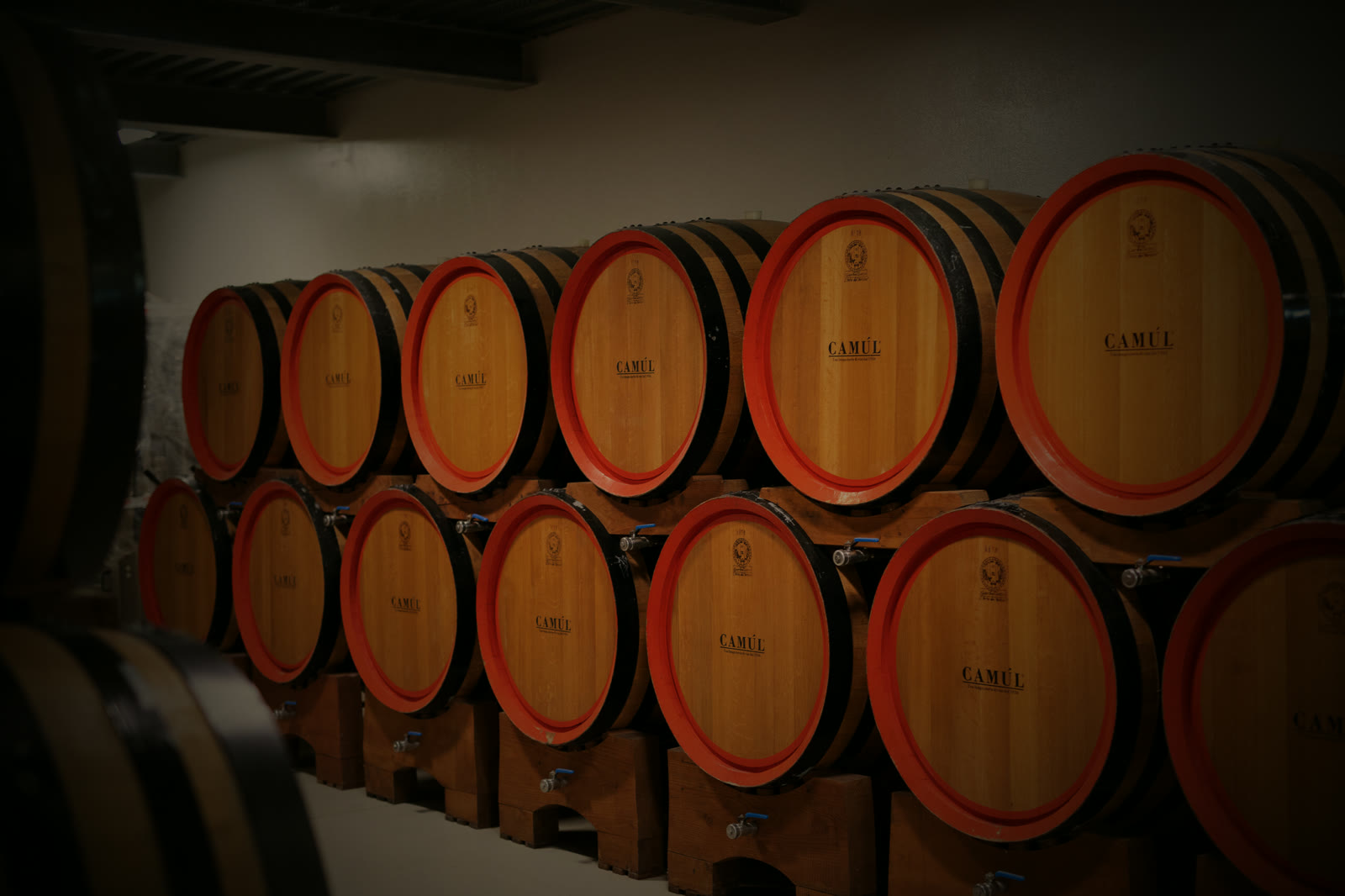 Le botti Camúl nella bottaia della cantina Tonon