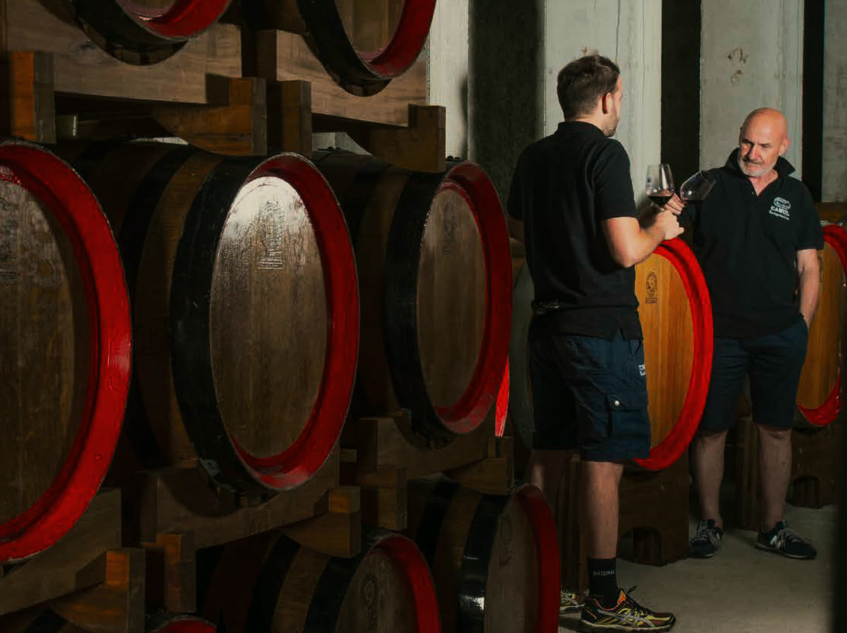 La bottaia: botti di rovere e la degustazione