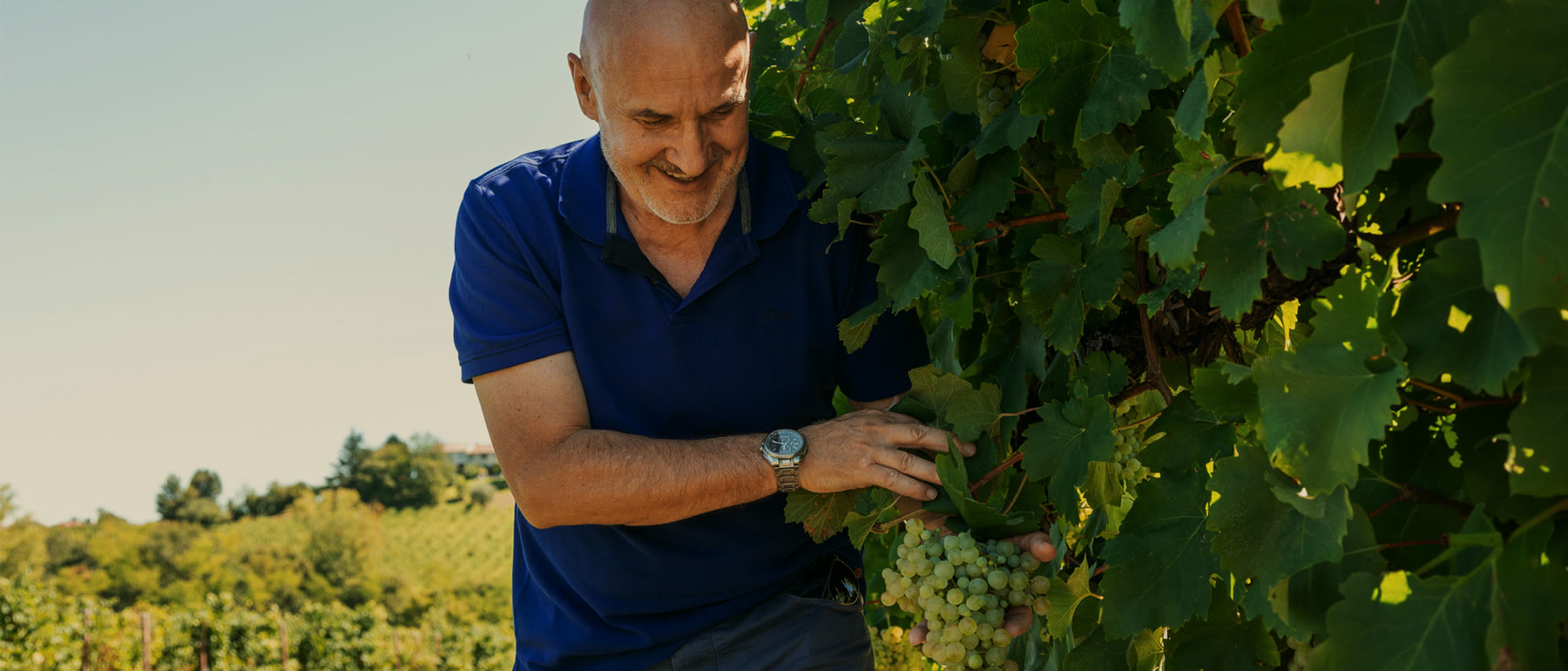 Loris Tonon tra i filari